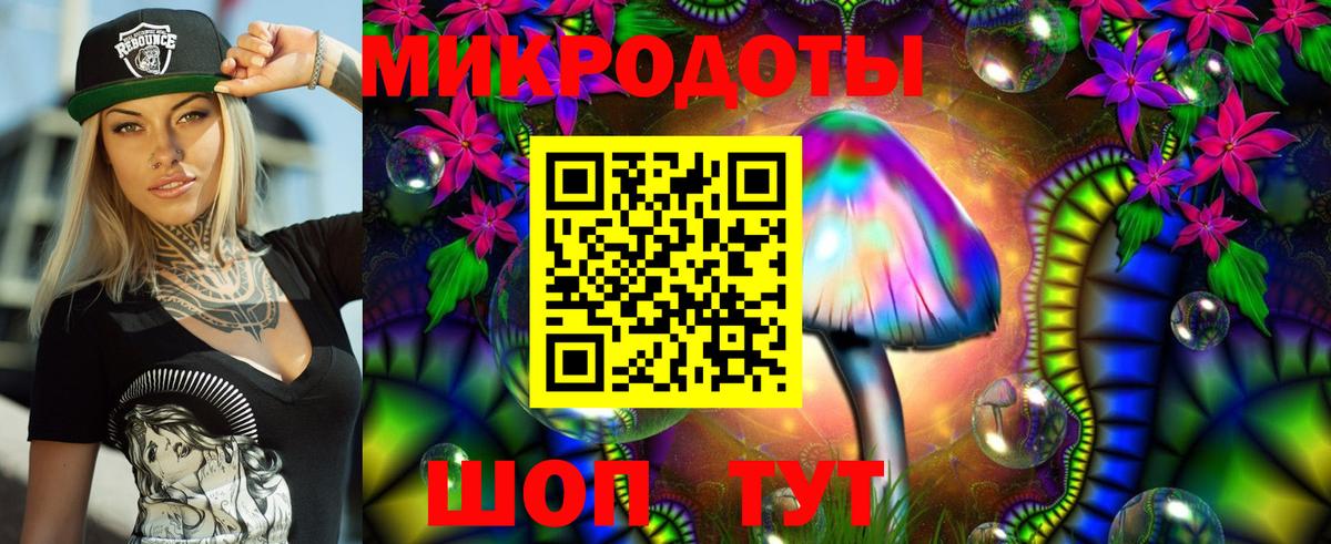 Псилоцибиновые грибы прущие грибы Ртищево