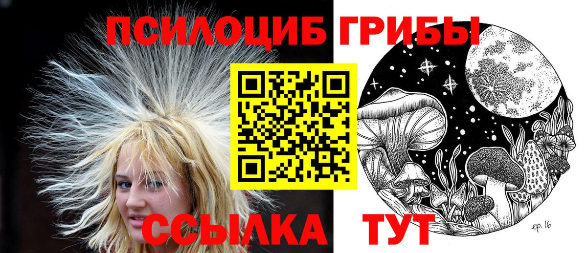 Галлюциногенные грибы Cubensis  Вход с VPN  Ртищево 